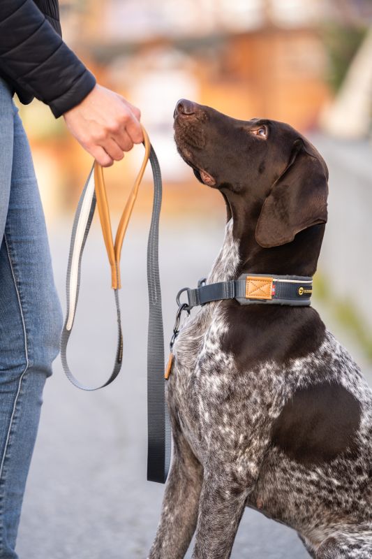 Seleverkstedet Link Dog Lead Grå/Brun 160 cm