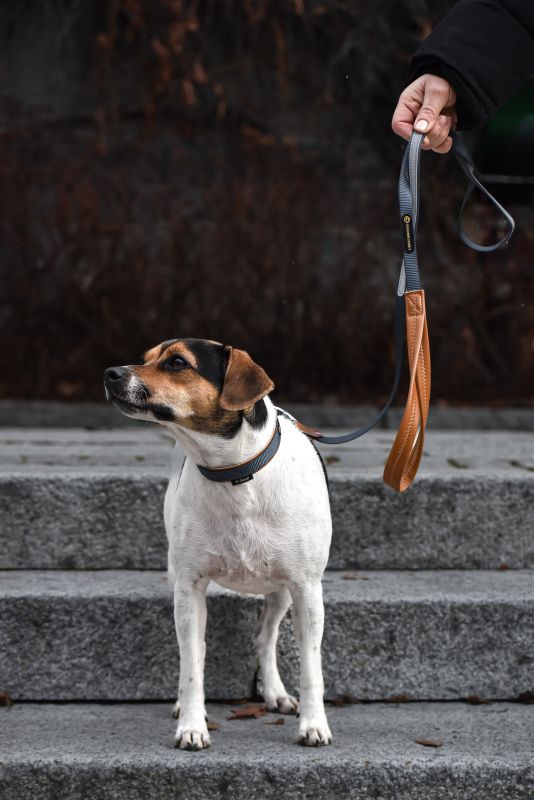 Seleverkstedet Link Dog Lead Grå/Brun 160 cm