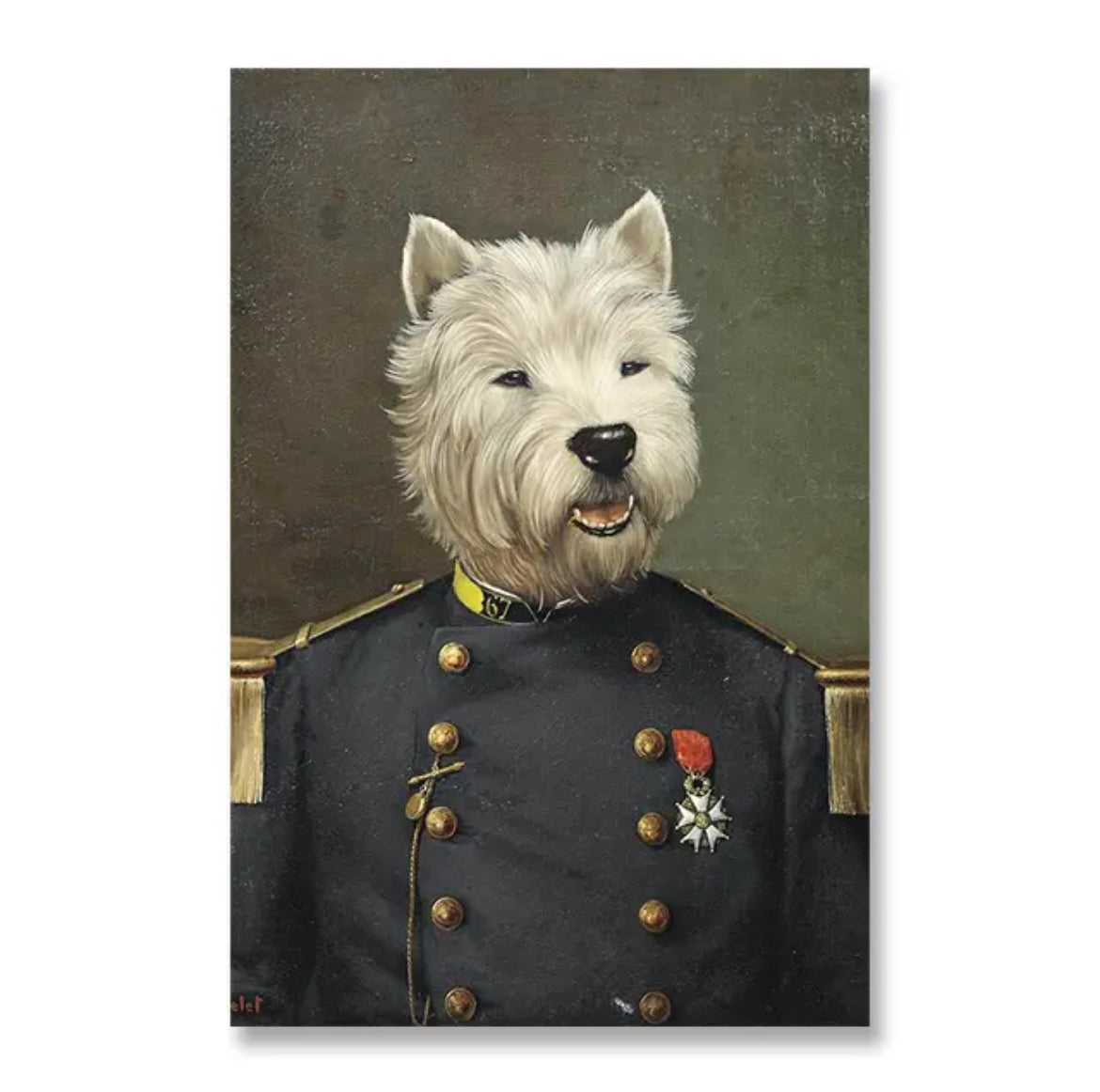 Portrett hund - Dyreportrett - Kunst av ditt kjæledyr