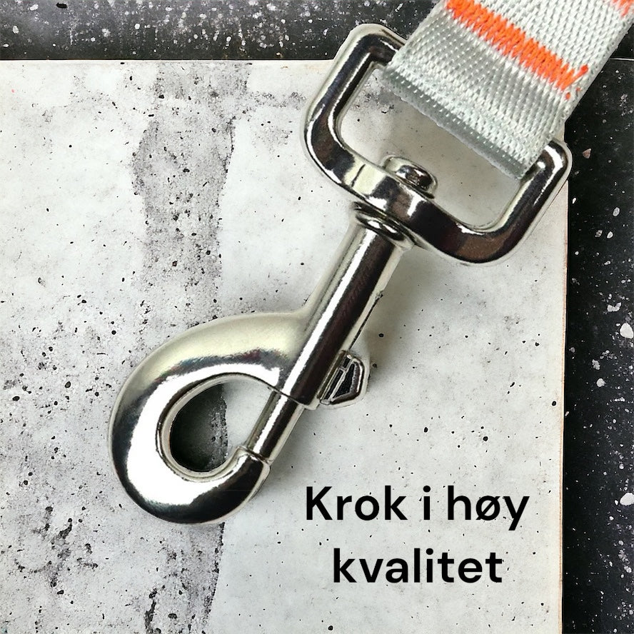Kort bånd hund - Kort kobbel