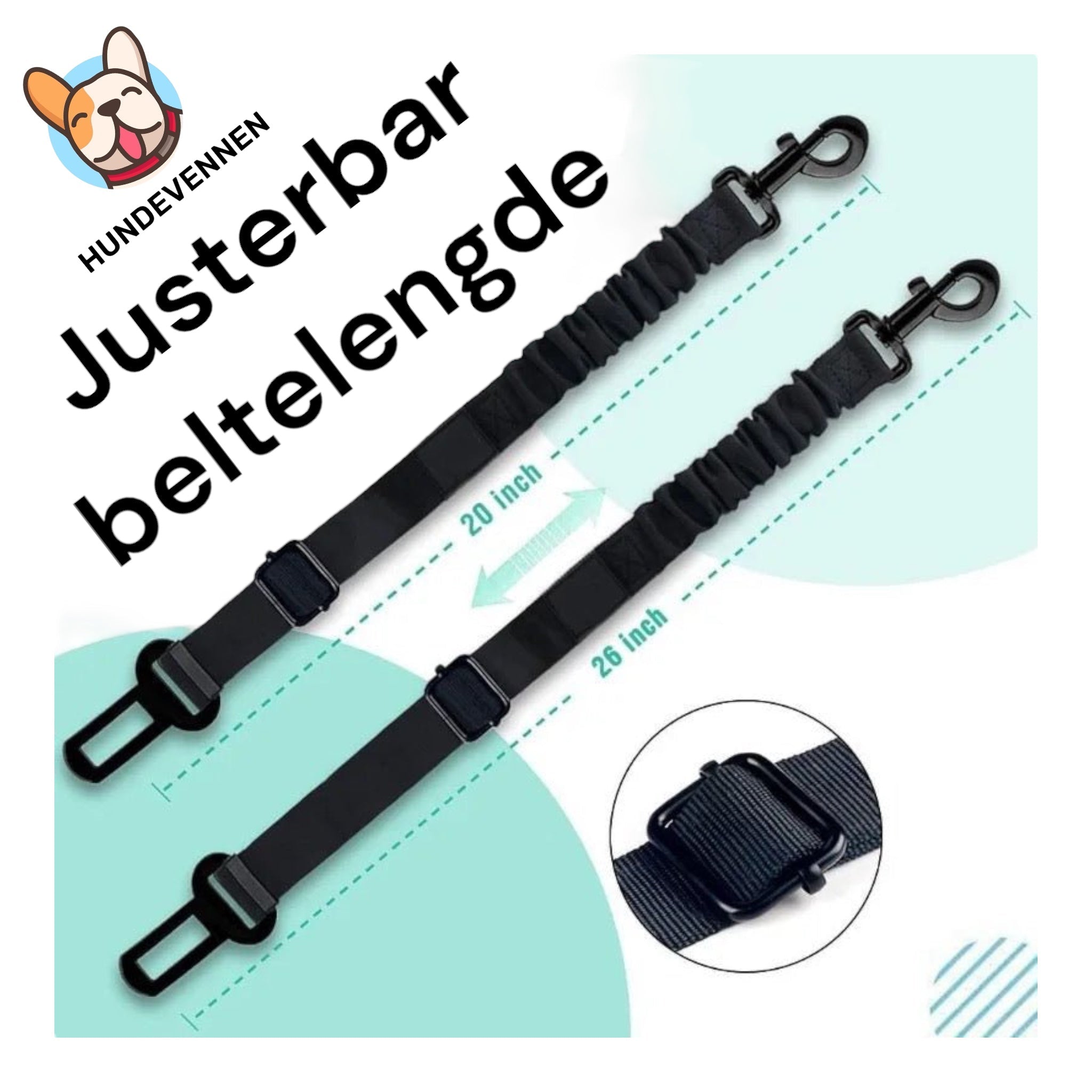 Hund i bil - Beltefeste hund