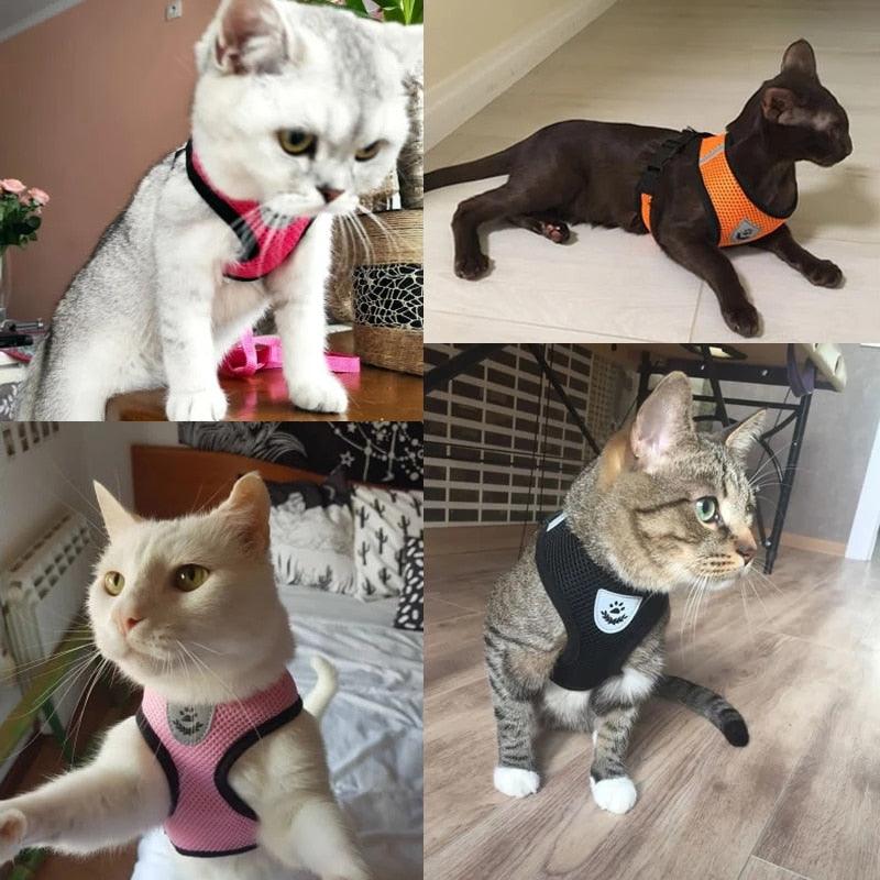 Hundesele til små hunder - Sele til katt - Hundevennen