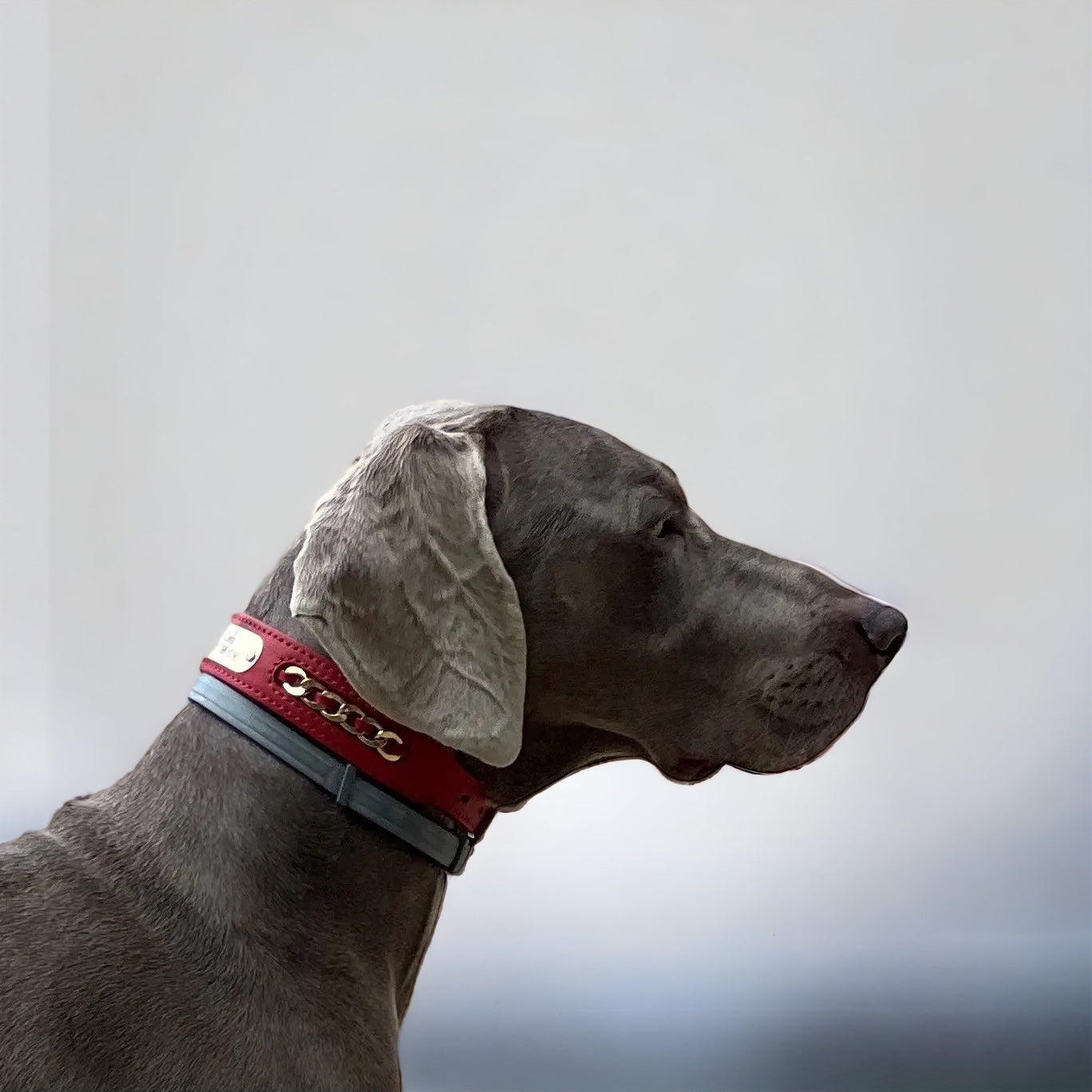 Halsbånd hund - Lærhalsbånd med navn - Hundevennen