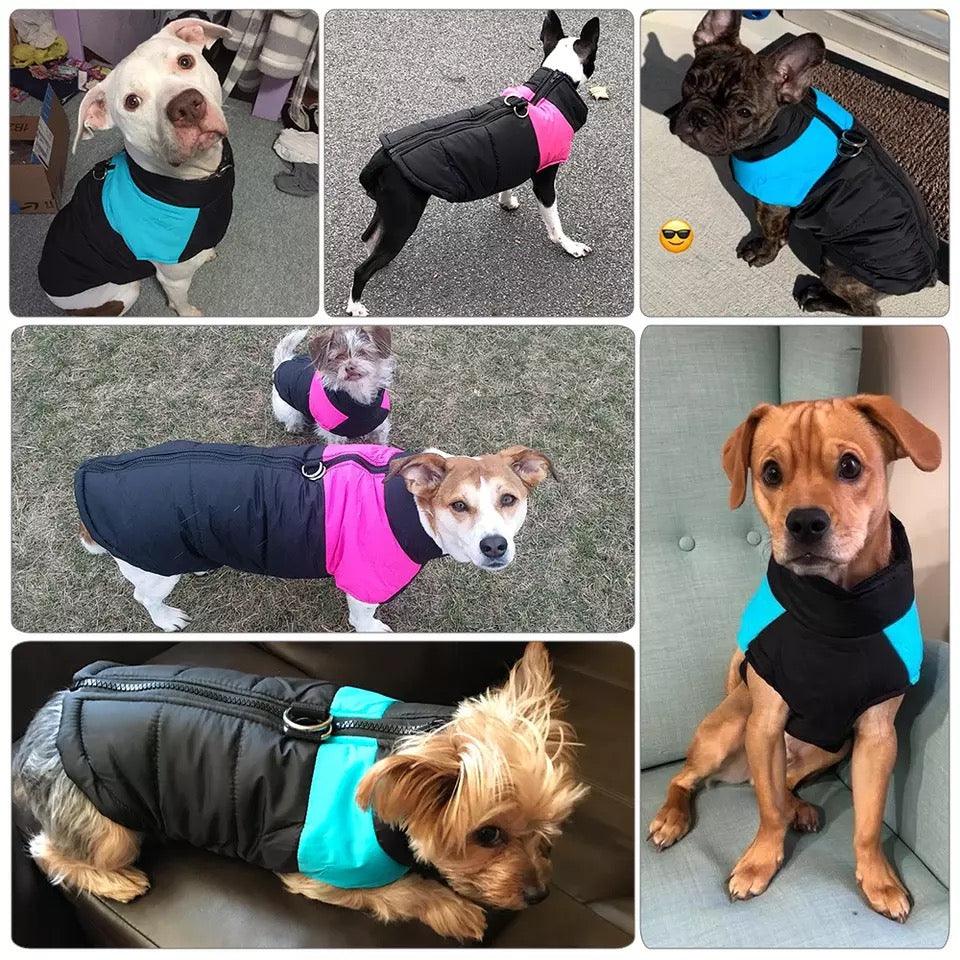 Vattert hundevest med glidelås - Vest til hund - Hundevennen