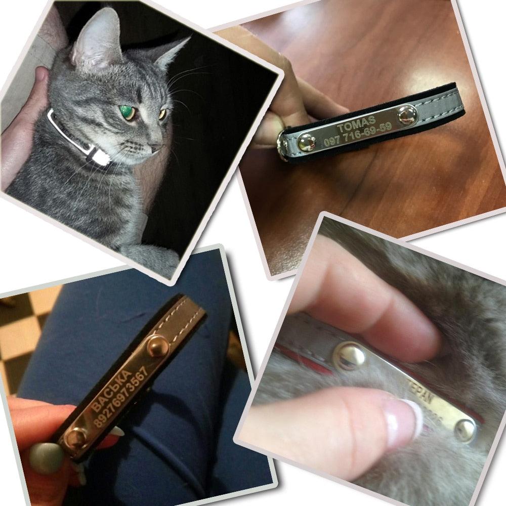 Halsbånd katt - Halsbånd med navn - Hundevennen