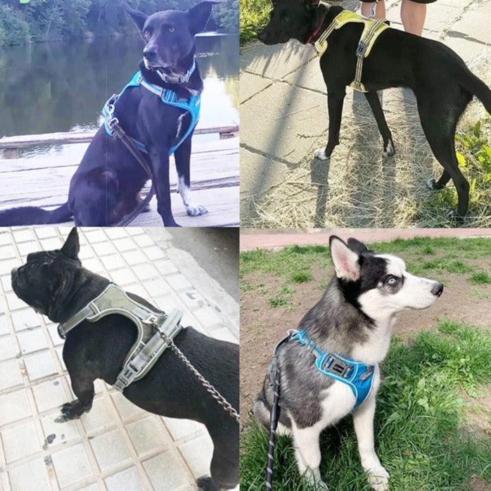 Hundesele med refleks - Anti-trekksele - Hundevennen