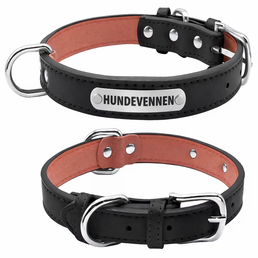 Personlig hundehalsbånd med gravering
