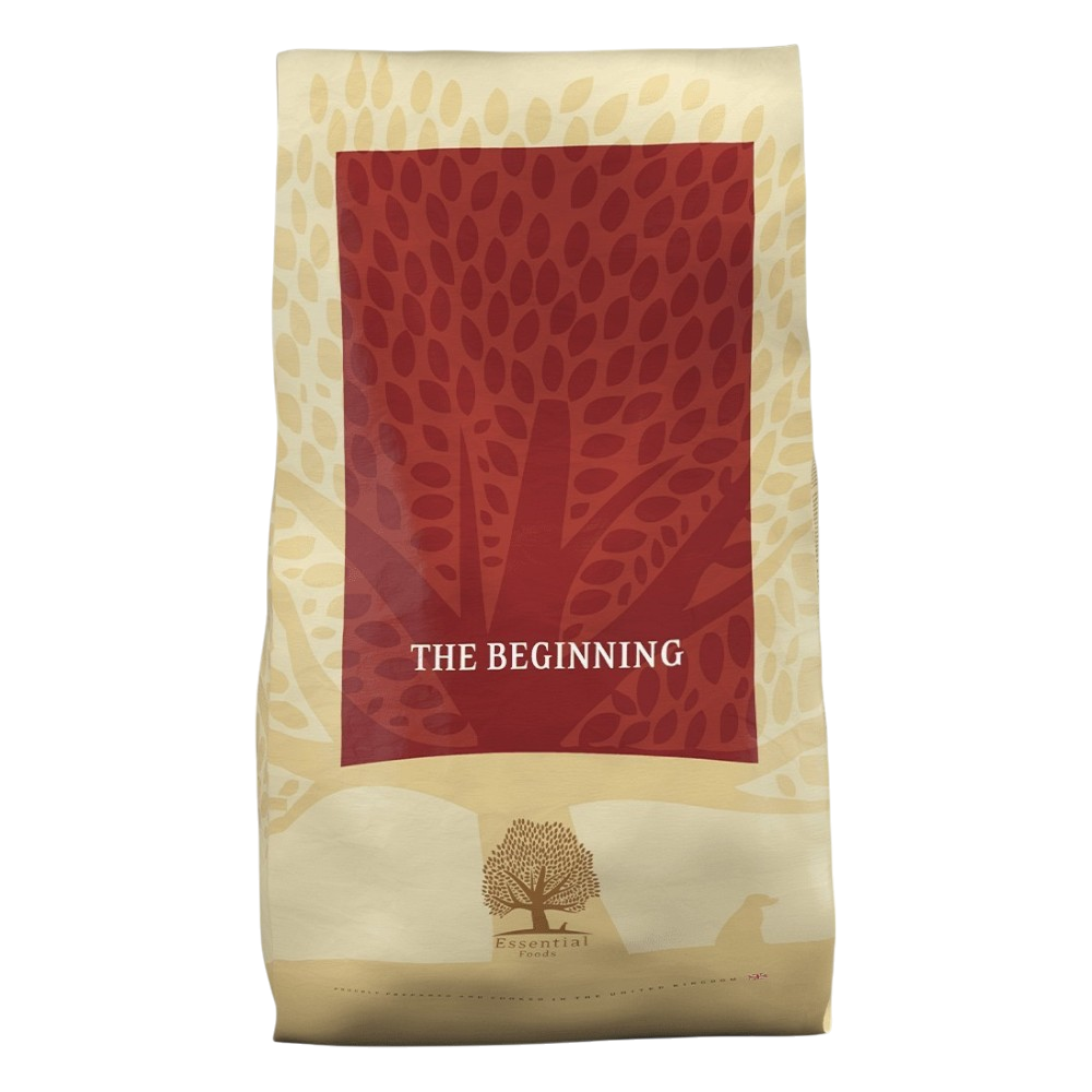 ESSENTIAL the BEGINNING