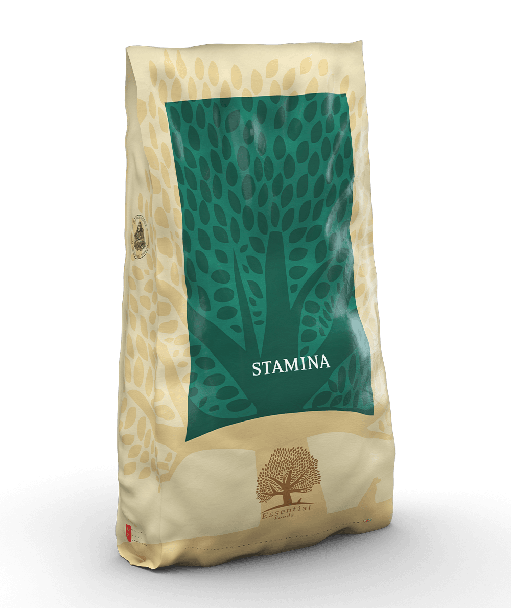 Essential Foods Stamina 10 kg