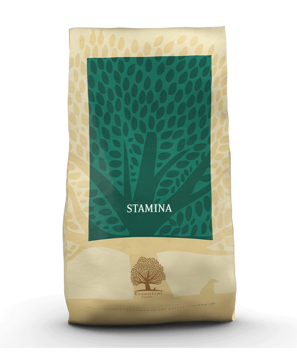 ESSENTIAL STAMINA 10KG