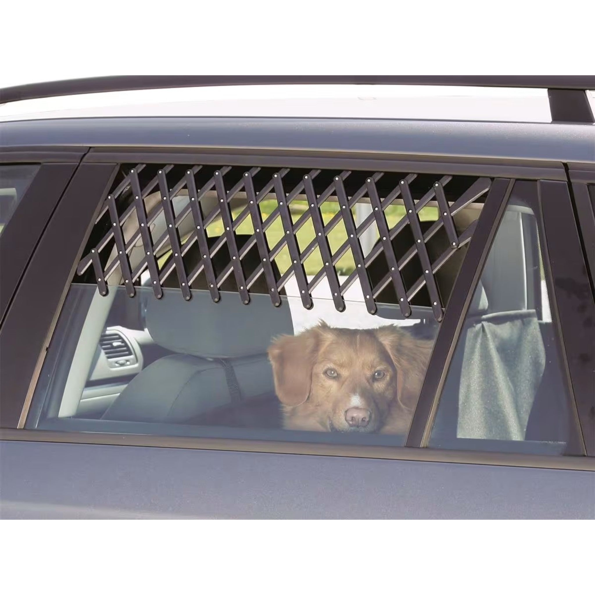 Ventilasjonsgitter til bil for hund 30–110 cm