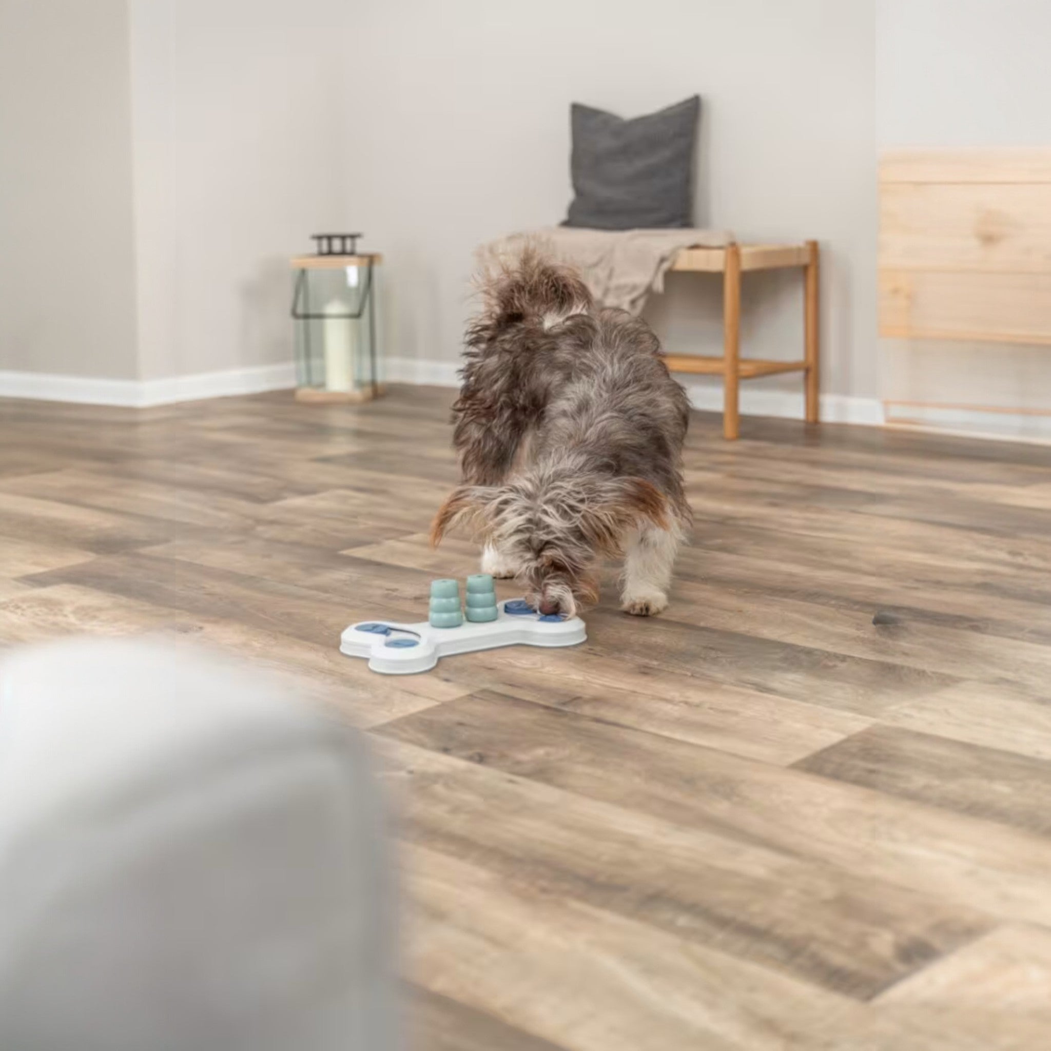 Dog Activity Flip Bone – interaktiv hjernetrim til hund | Level 1