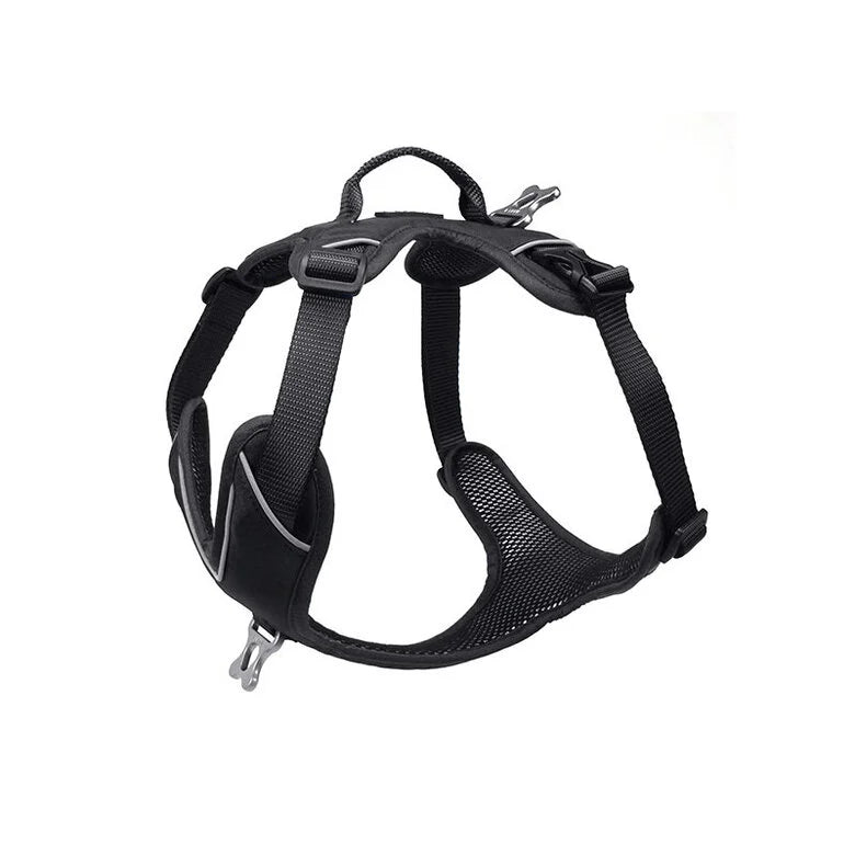 Hundesele KYFLIE Momentum