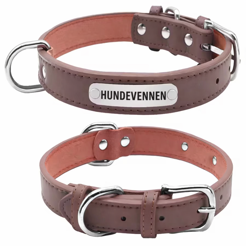 Personlig hundehalsbånd med gravering