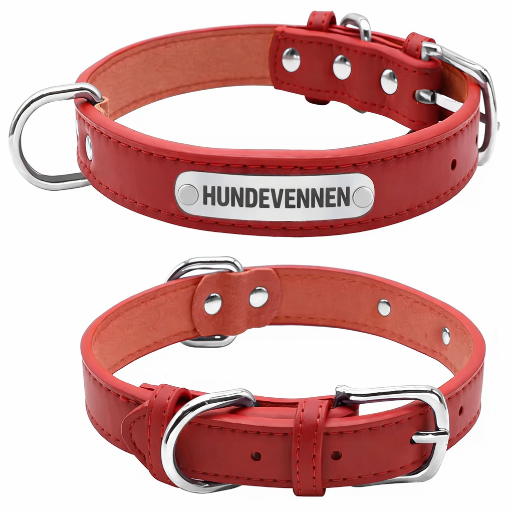 Personlig hundehalsbånd med gravering