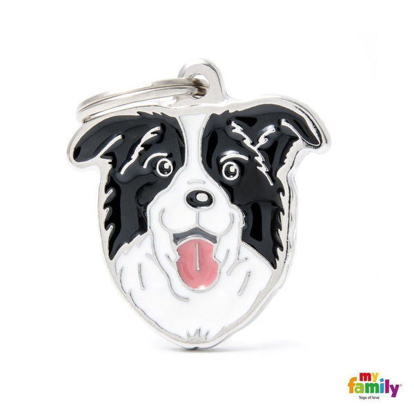Friends - Border Collie