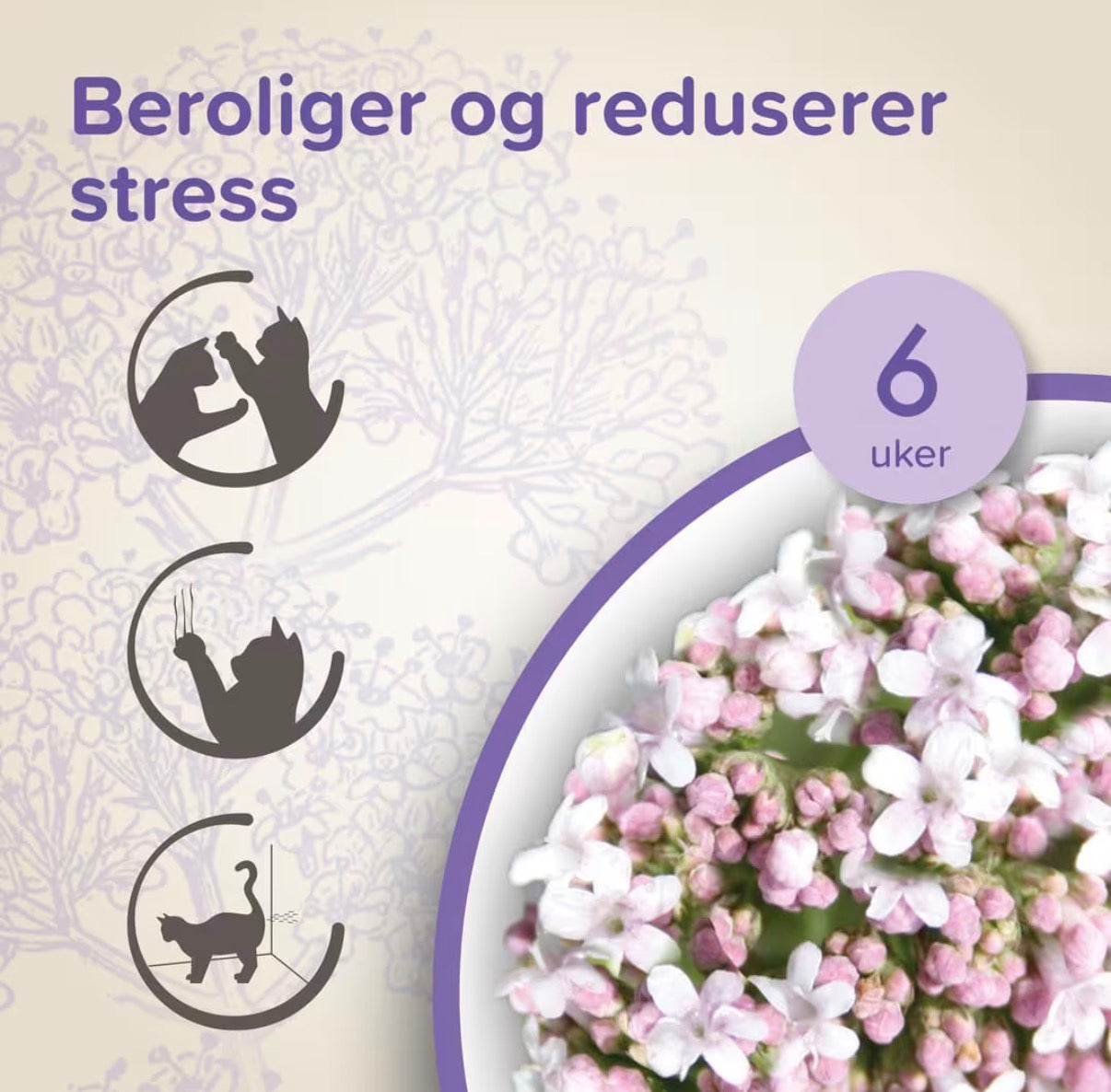Beaphar Calming beroligende halsbånd til katt med valerian og lavendel