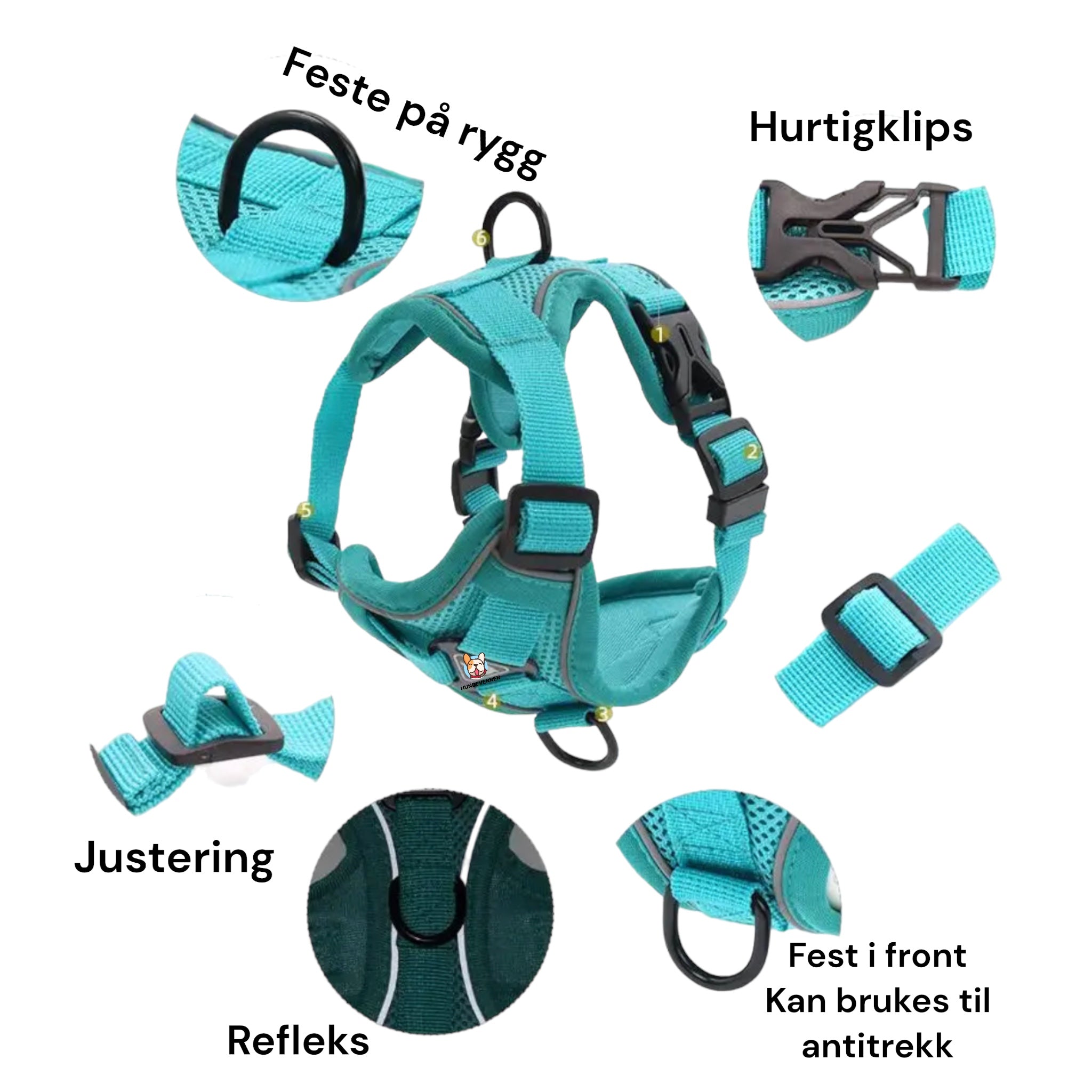 Sele til små hunder og katter