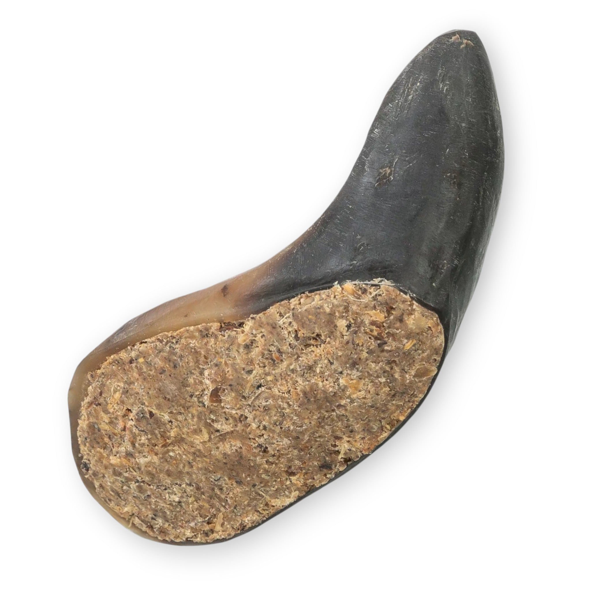 Trixie fylt bøffelhorn til hund med bøffelmuskel og sener, 10–14 cm