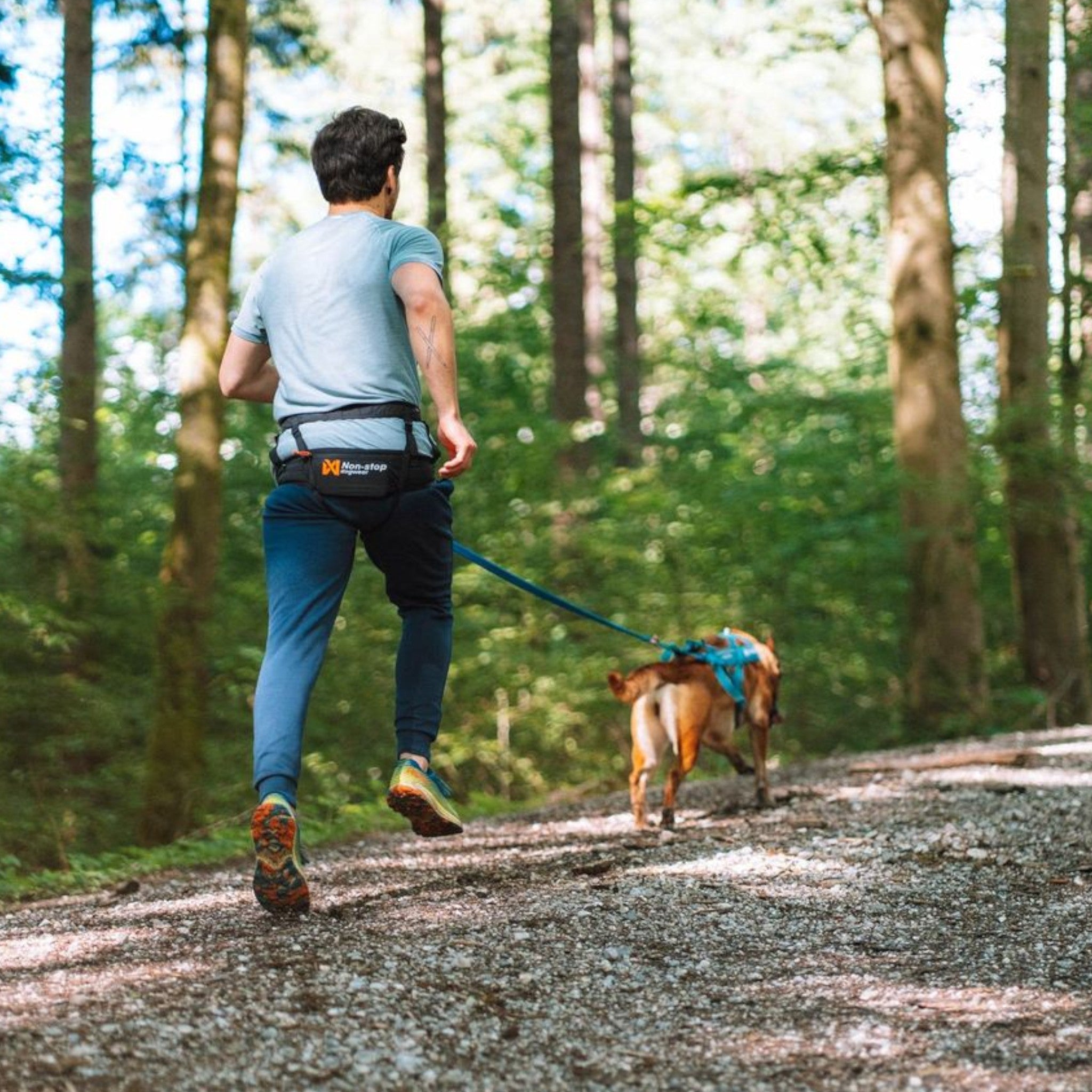 Non-Stop Dogwear CaniX Belt 2.0