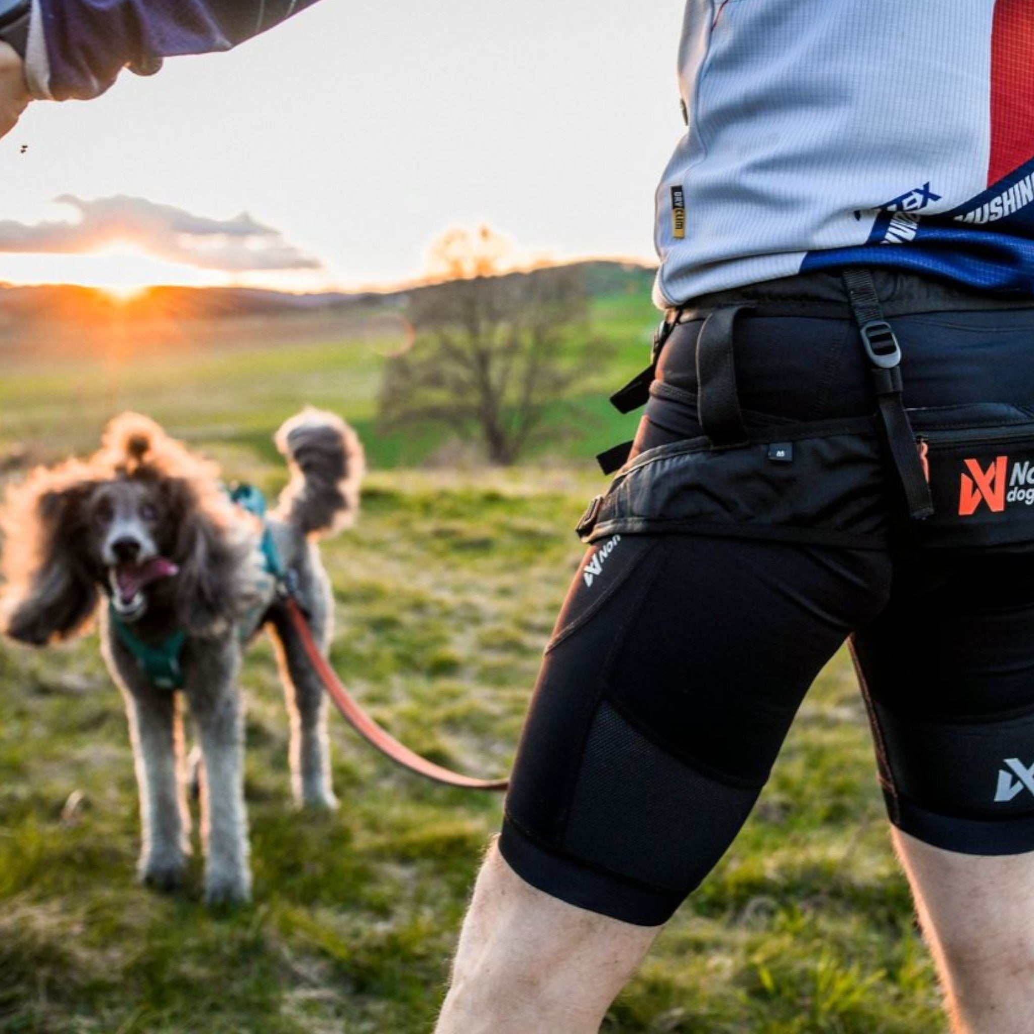 Non-Stop Dogwear CaniX Belt 2.0