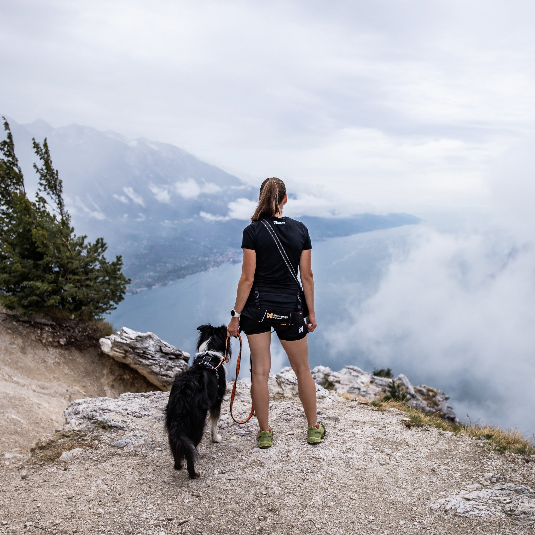 Non-Stop Dogwear CaniX belt