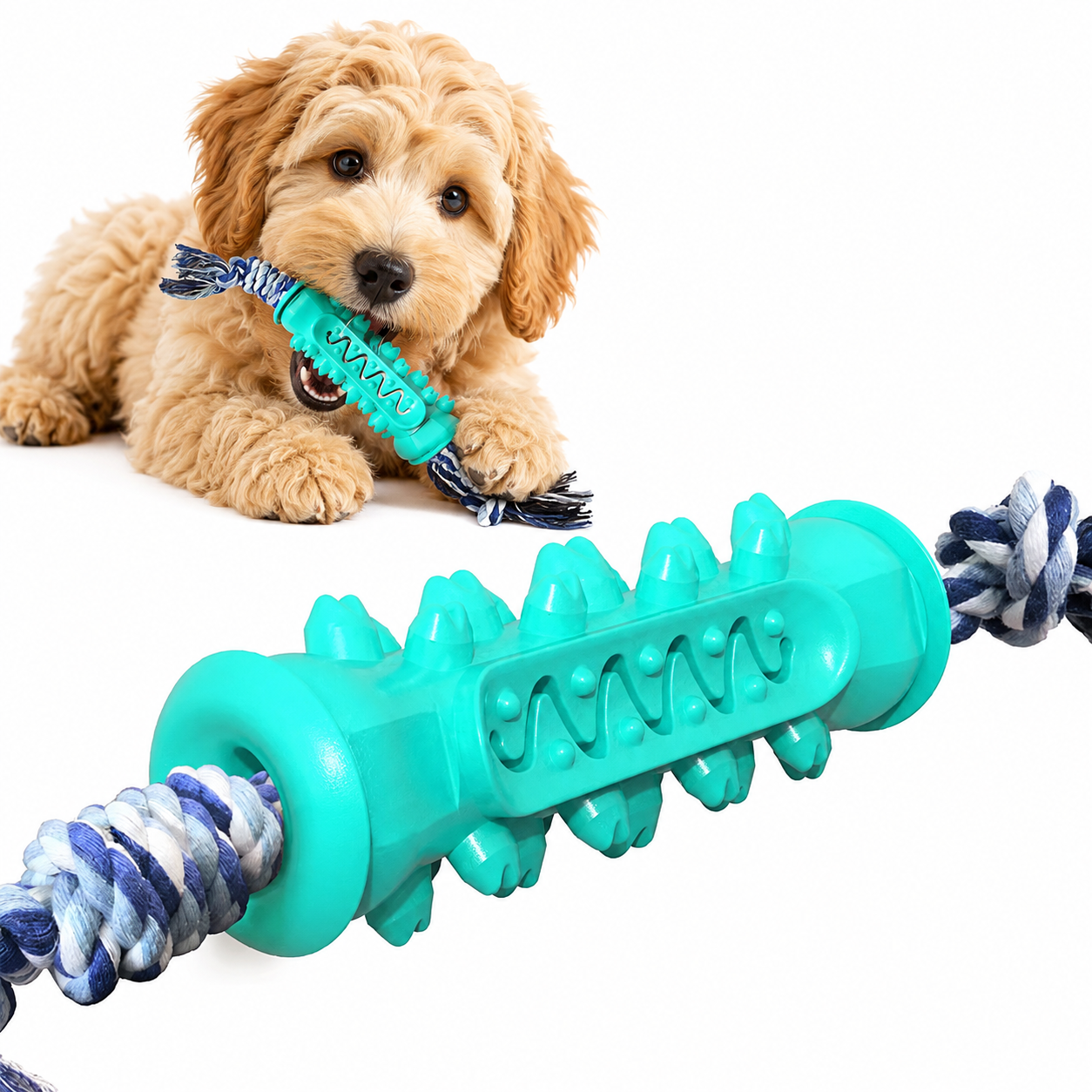 Tannrensleke til hund med tau – tyggeleke for tannpleie