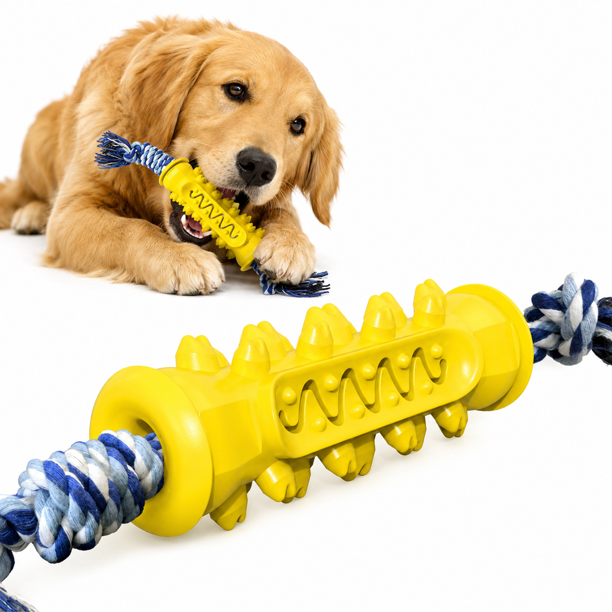 Tannrensleke til hund med tau – tyggeleke for tannpleie