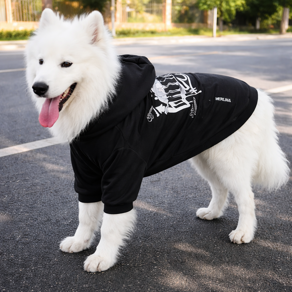 Hoopet vinterjakke til hund – svart hettejakke