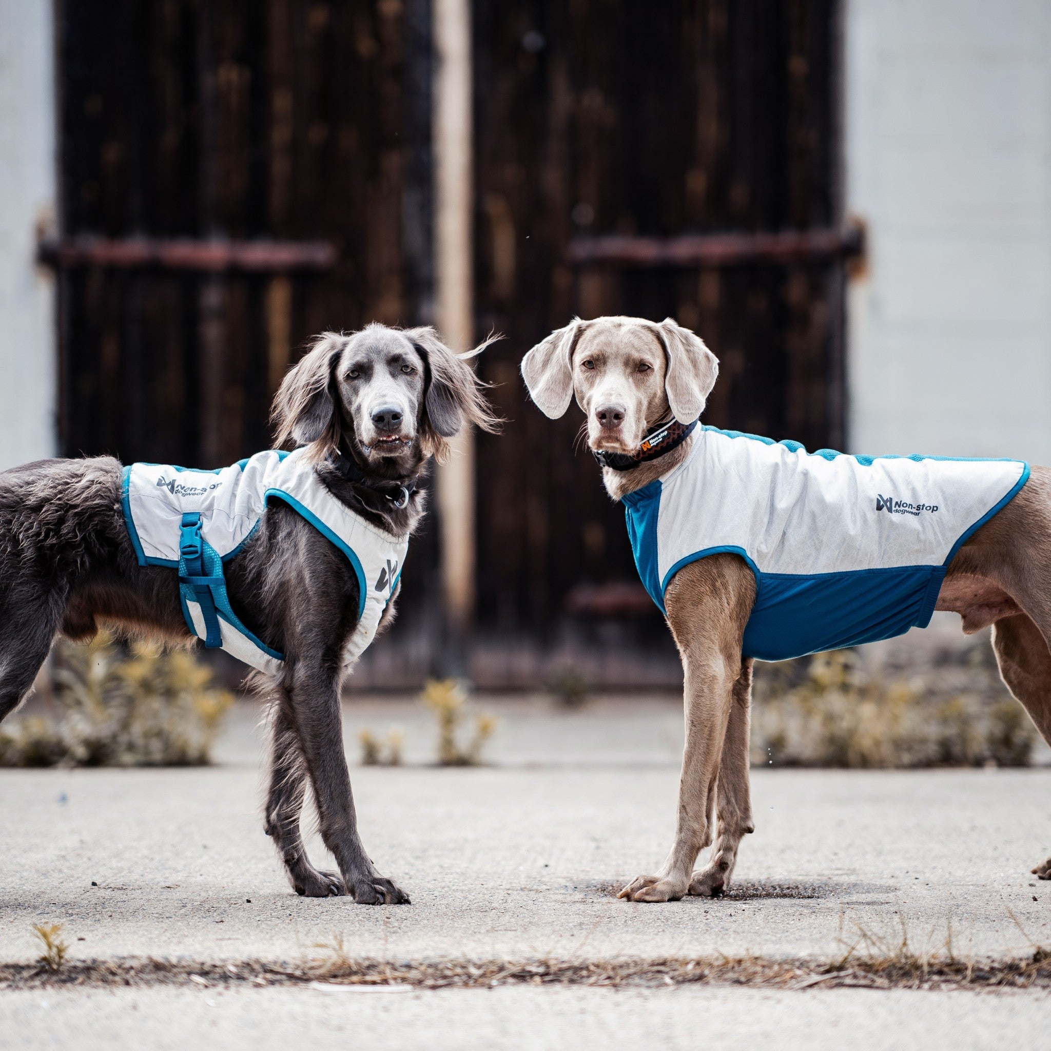 Non-Stop Dogwear Cooling pull-on vest