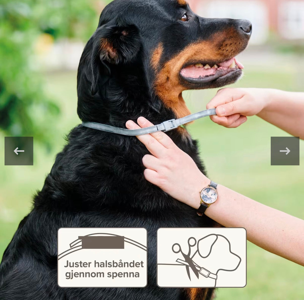 Beaphar Bio flåtthalsbånd til hund 65 cm med naturlige planteekstrakter mot flått, lopper og insekter
