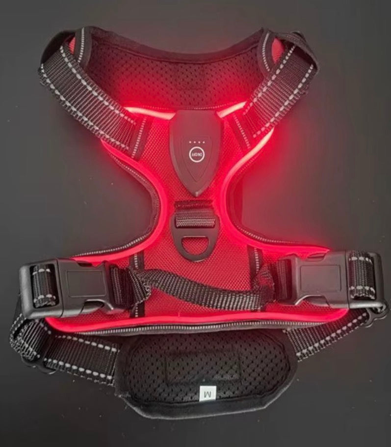 Hundesele med LED-lys og refleks – rød