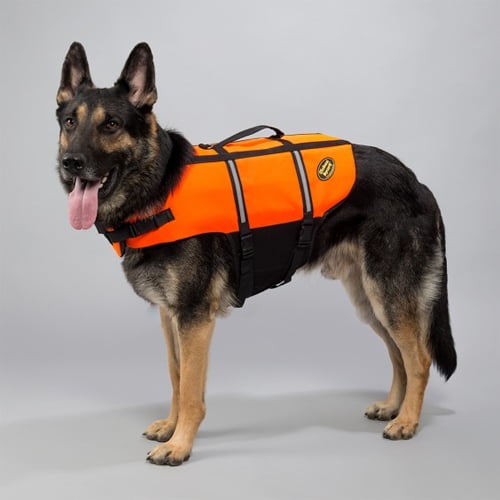 Globus flytevest