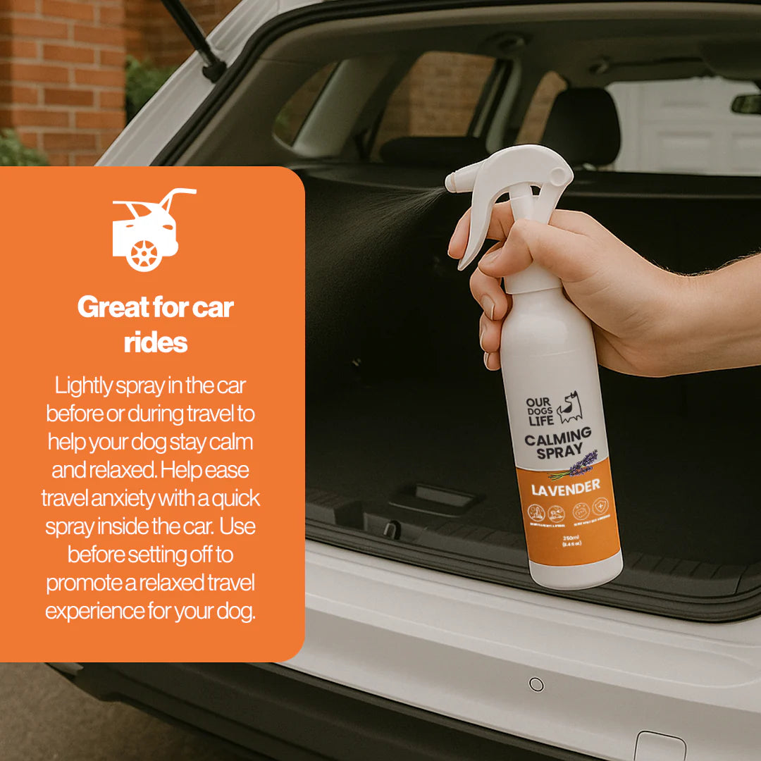 OurPetsLife beroligende spray 250 ml