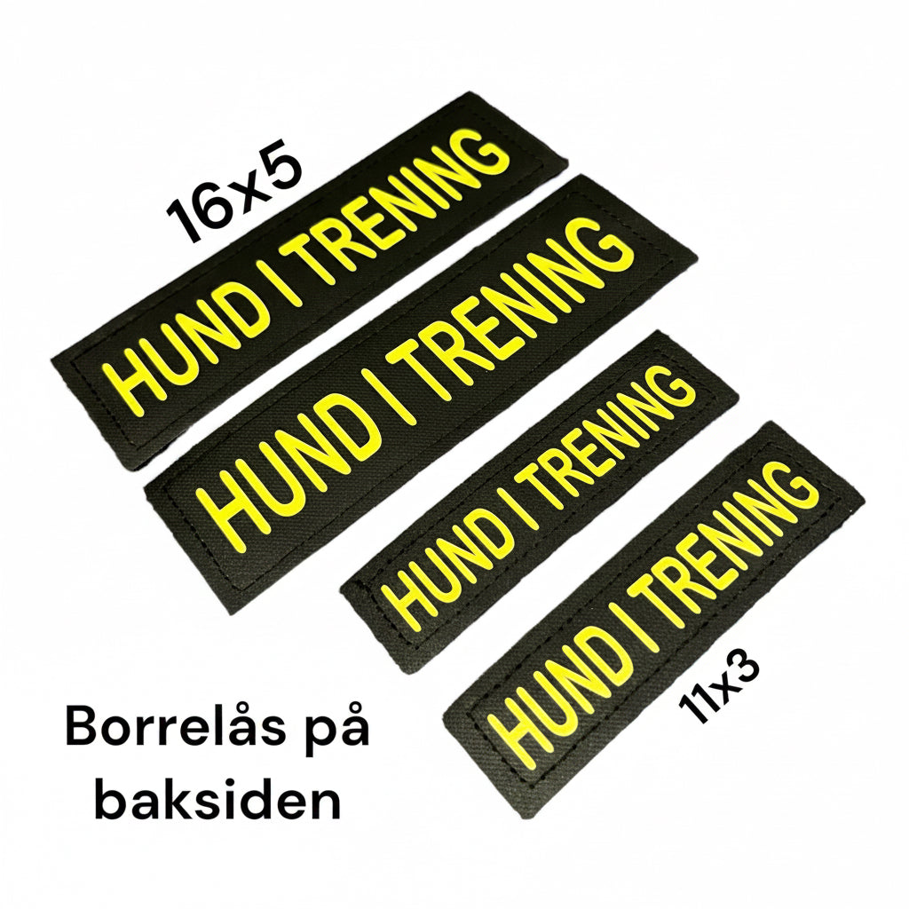 Borrelåsmerke «Hund i trening»