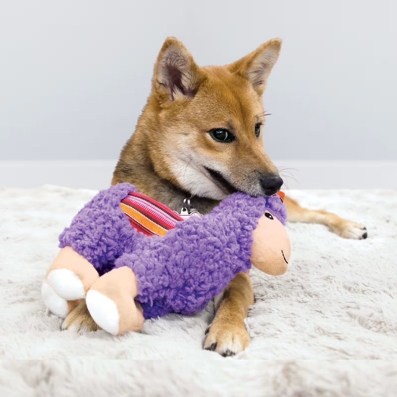 KONG Sherps Lama M – Myk hundeleke med knitrelyd og squeaker