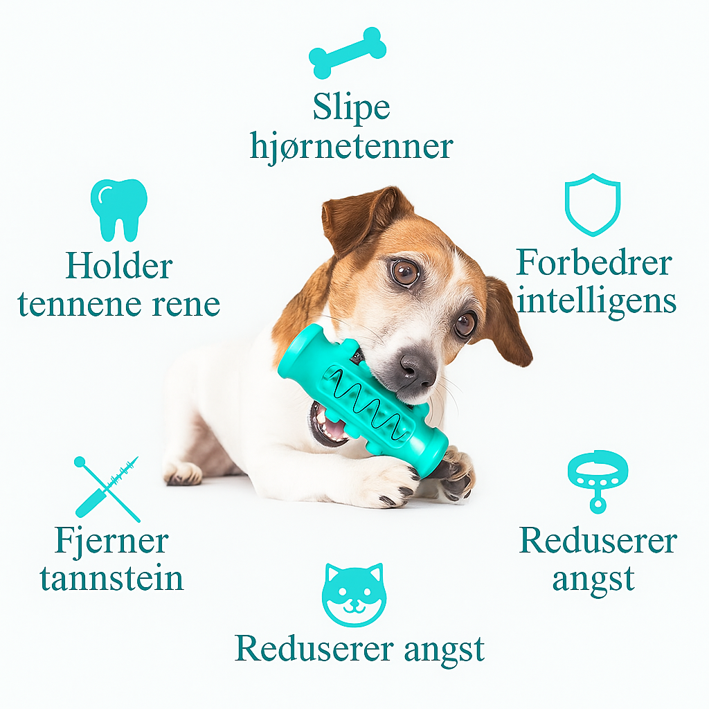 Tannrensleke til hund – tyggeleke for tannpleie