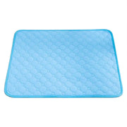 Gjenbrukbar matte for hund og valp – sklisikker og vaskbar