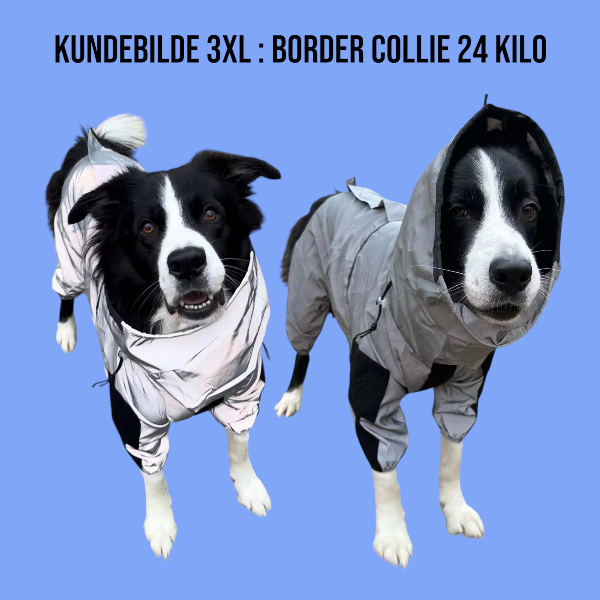 Regndress for hund med heldekkende refleks