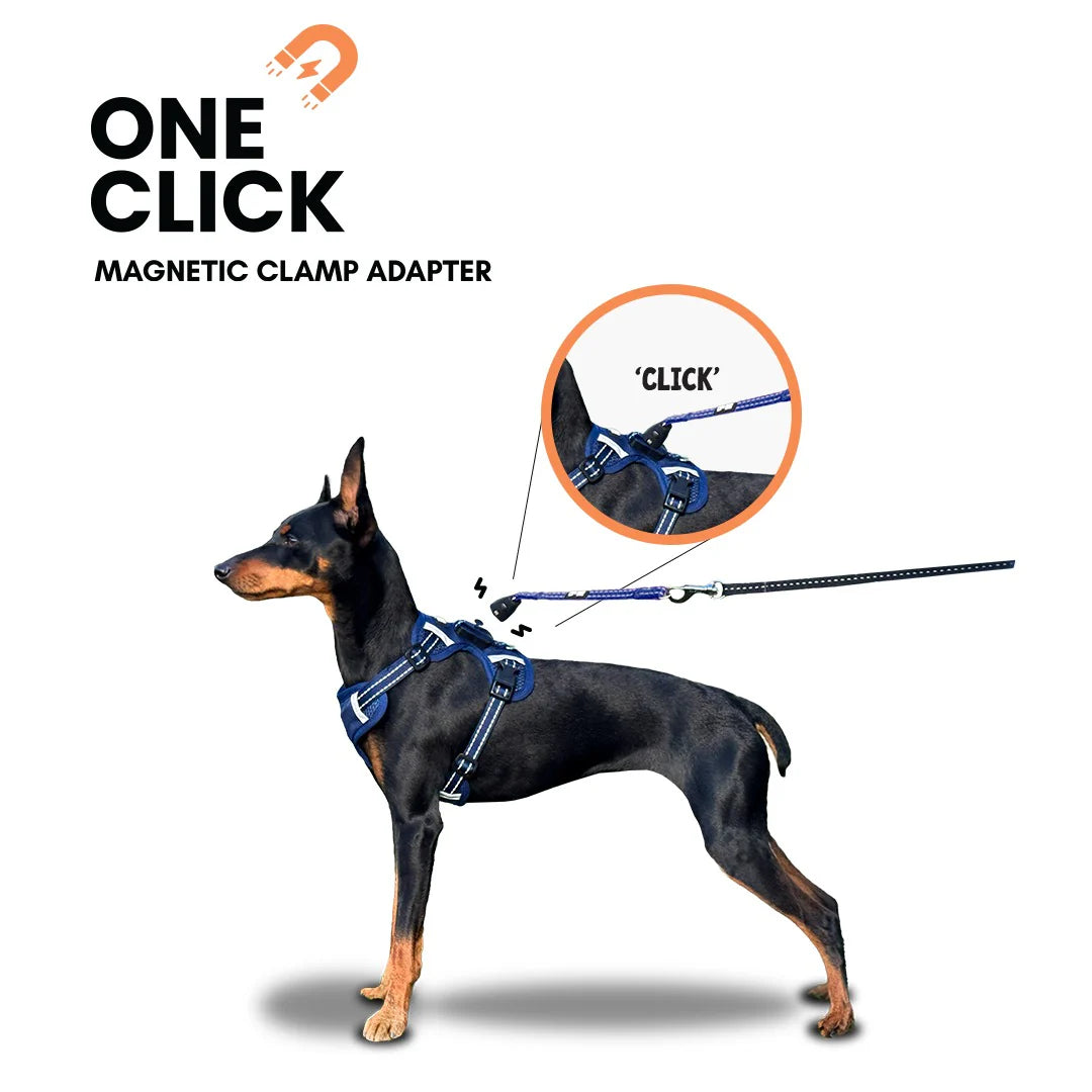 OurDogsLife hundesele med magnetlås