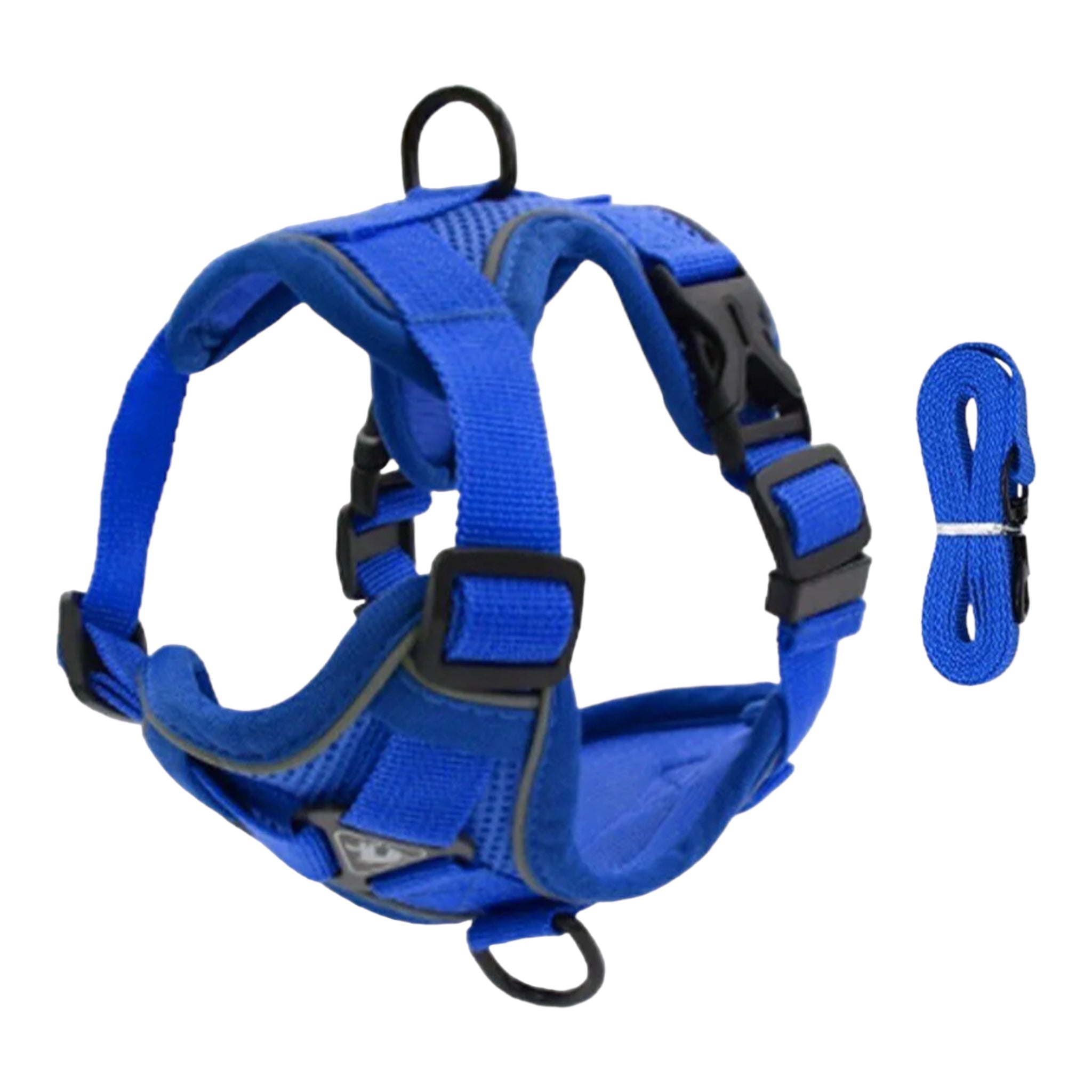 Sele til små hunder og katter