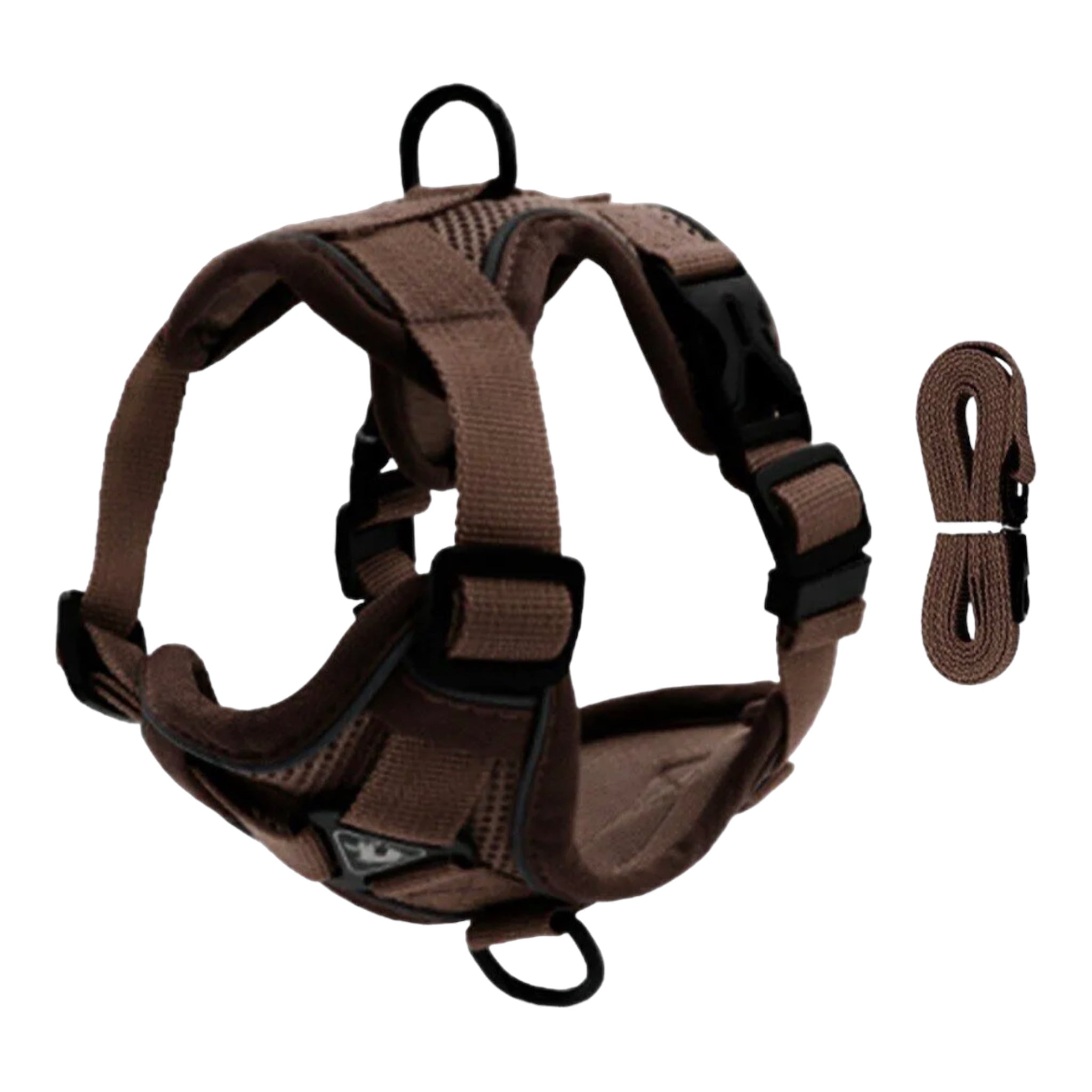 Sele til små hunder og katter