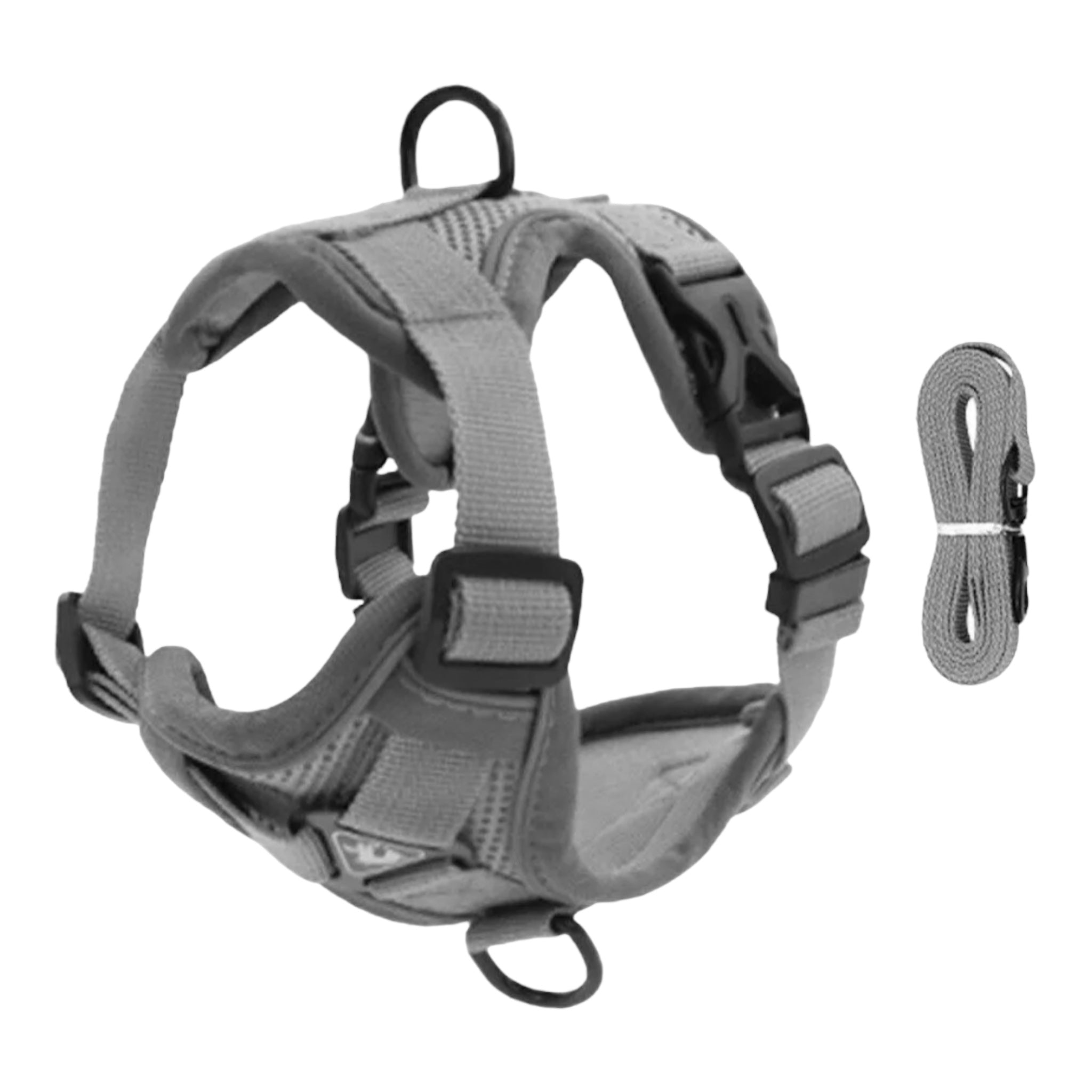 Sele til små hunder og katter