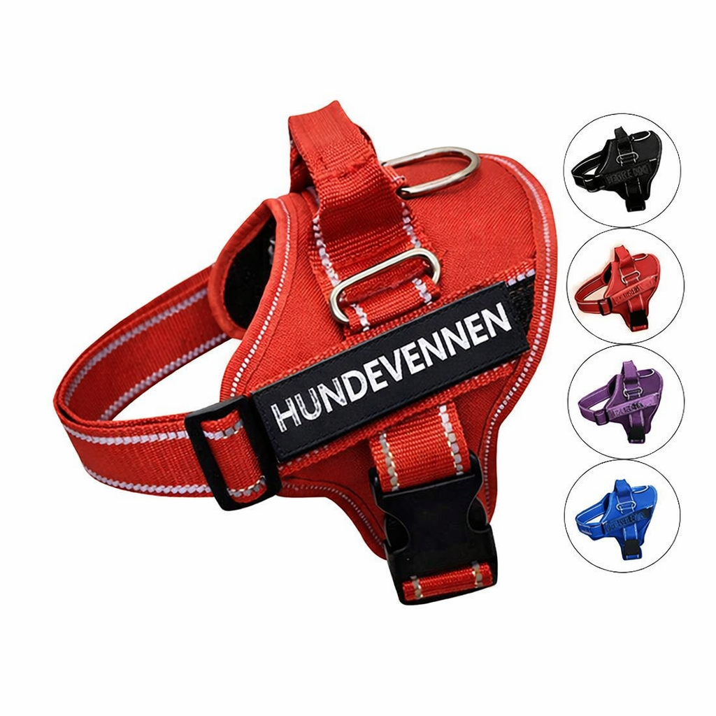 Hundesele med navn