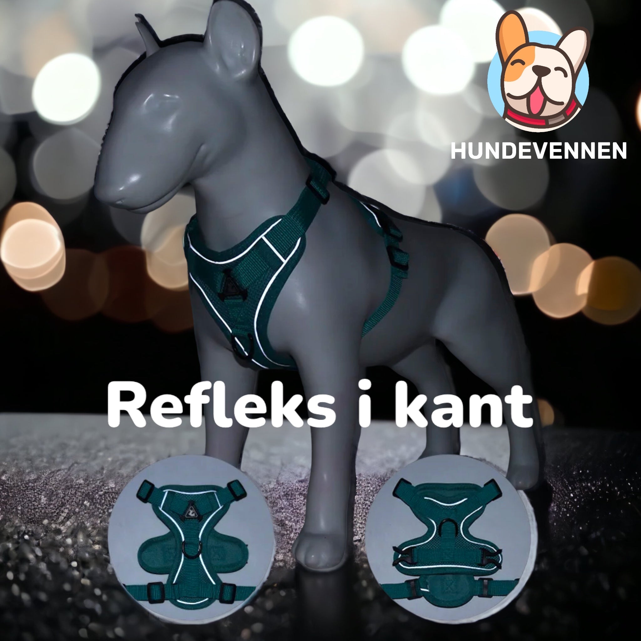 Sele til små hunder og katter