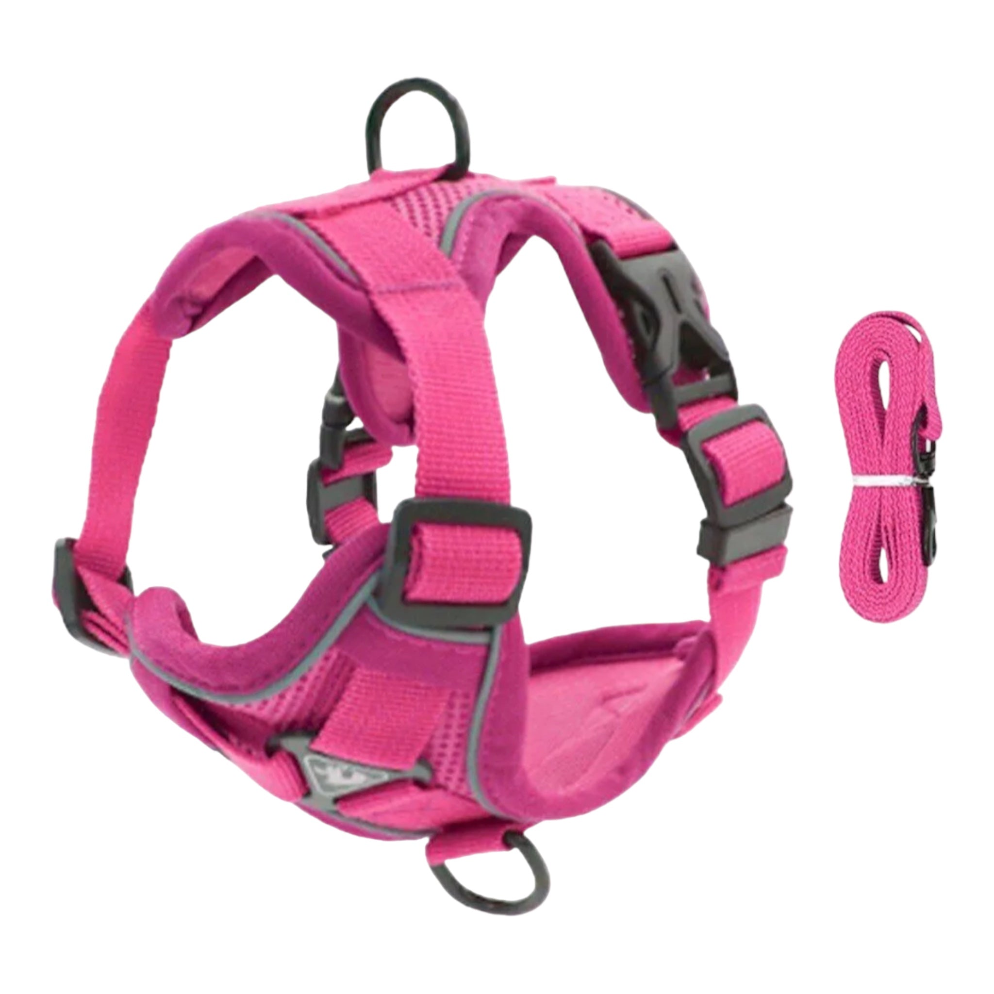 Sele til små hunder og katter