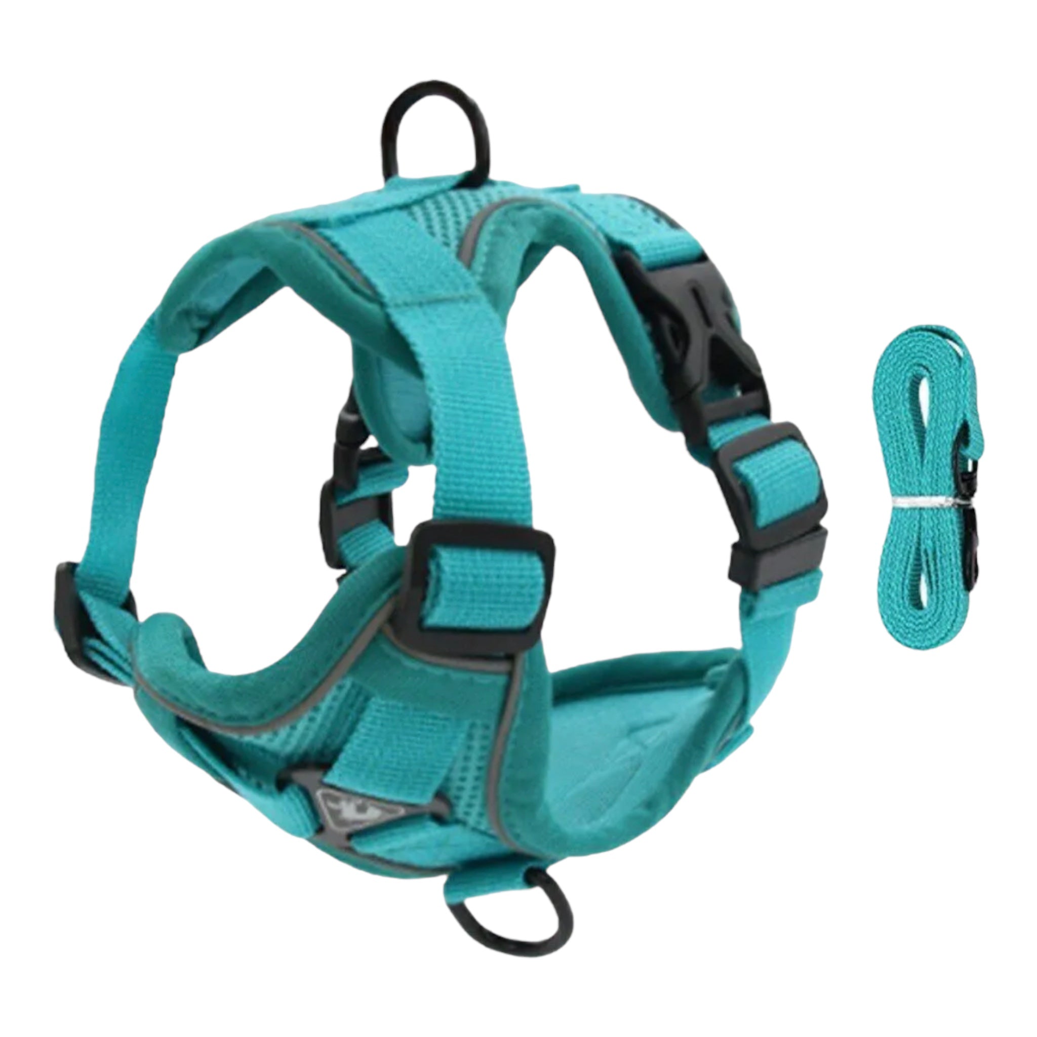 Sele til små hunder og katter