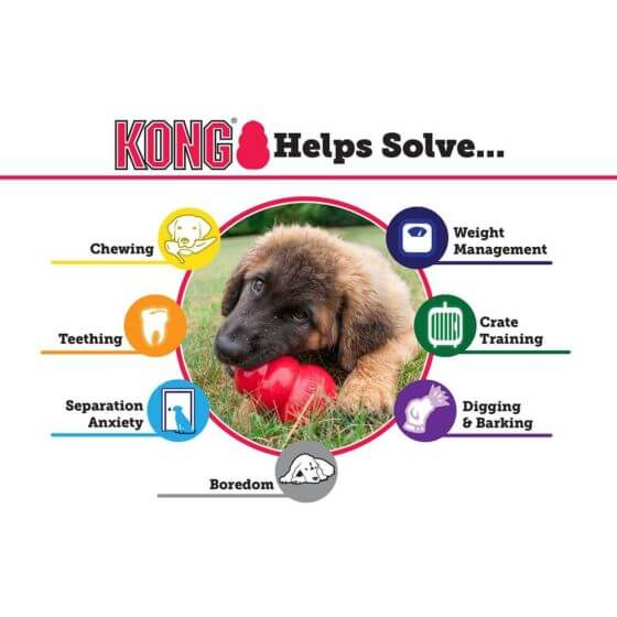 Best hundeleke er KONG. En holdbar hundleke