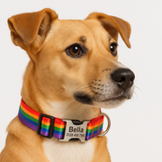 Pride halsbånd hund og pride armbånd