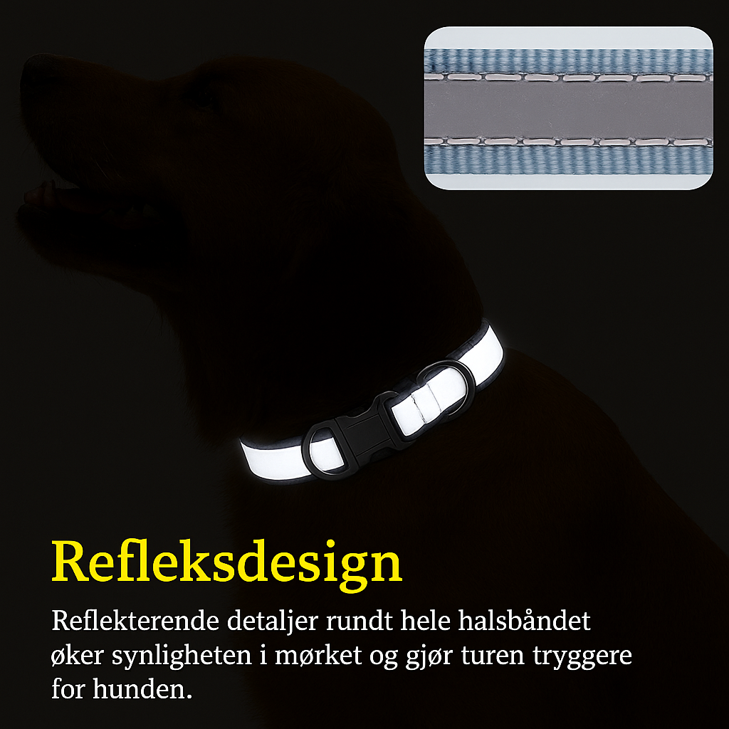 Personlig hundehalsbånd med navn og nummer – Reflekterende og justerbart